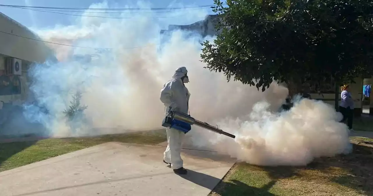 Alerta en Río Cuarto: confirman el primer caso de dengue autóctono | Ciudadanos | La Voz del Interior