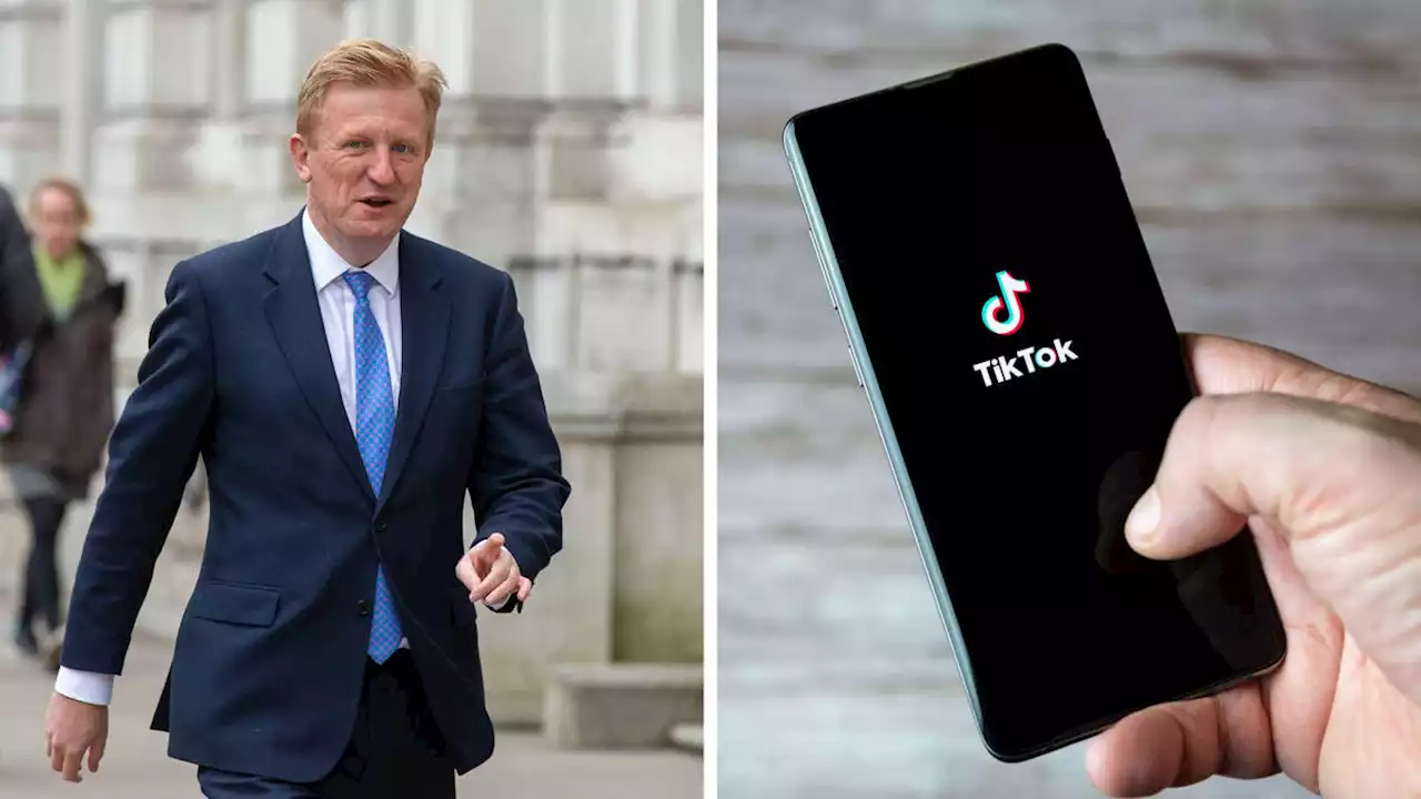 UK bans TikTok from Government devices over security fears and worries about app's ties with Beijing