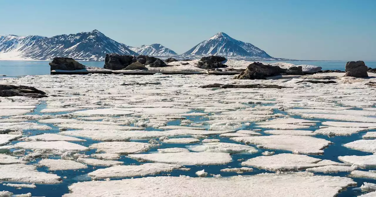 «En Arctique, la banquise fond plus vite que prévu et c’est une très mauvaise nouvelle»