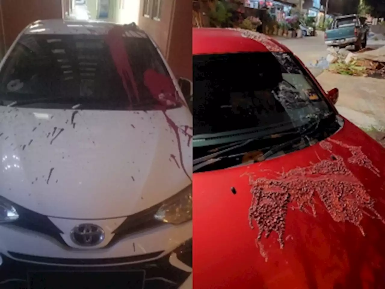 ‘Mentega Terbang’ director and scriptwriter receive death threats, cars splashed with paint, corrosive substance