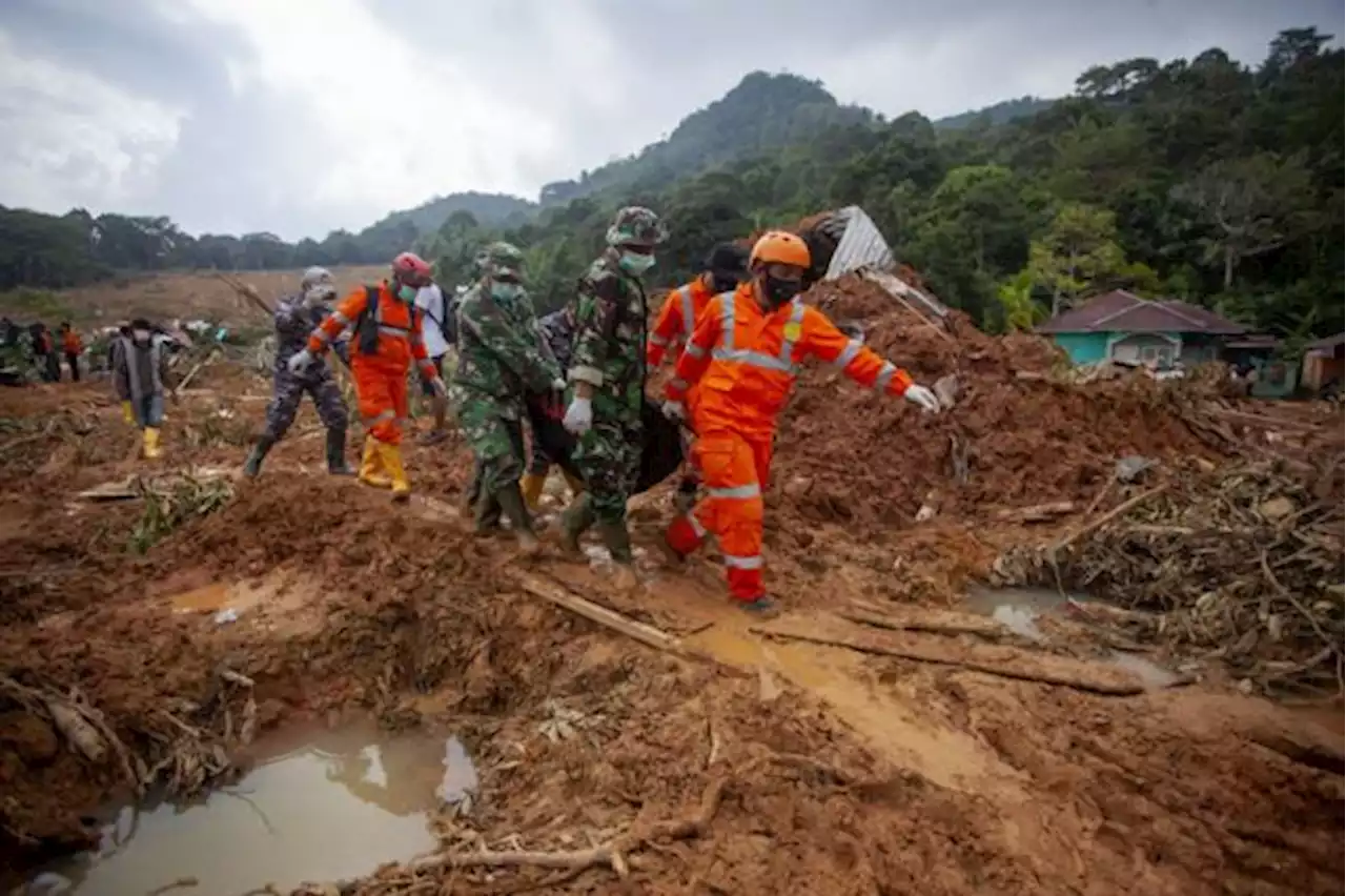 Pencarian Korban Longsor Natuna, BPBD Tambah Anjing Pelacak