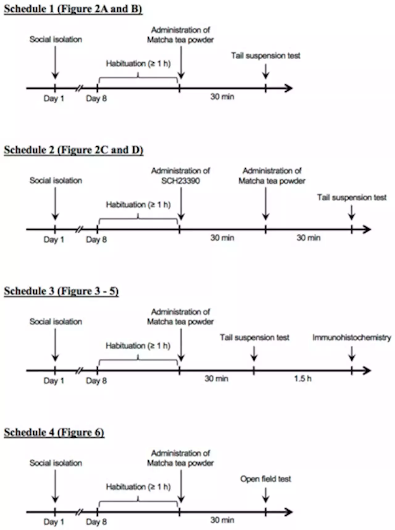 Matcha Tea Powder&rsquo;s Antidepressant-like Effect through the Activation of the Dopaminergic System in Mice Is Dependent on Social Isolation Stress