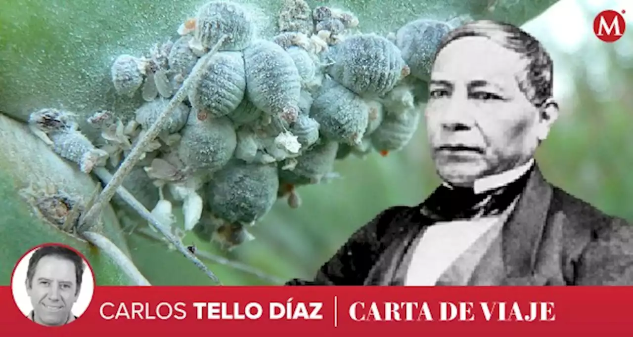 El misterio de Juárez