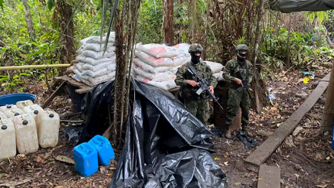 Producción de coca está disparada en el mundo y Colombia domina rutas a Norteamérica