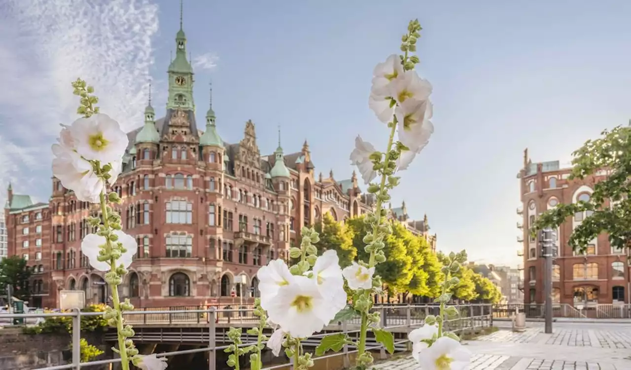 „Die letzte Frostnacht“: In Hamburg legt endlich der Frühling los