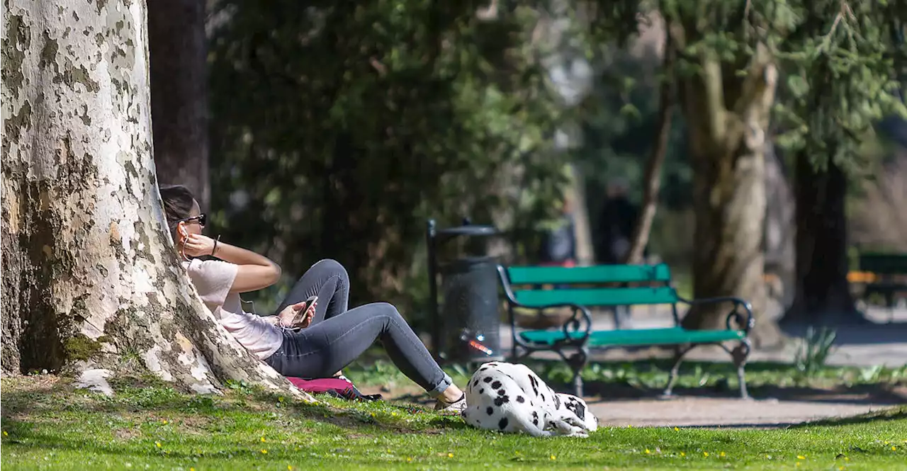 Sonnenschein und bis zu 21 Grad am Wochenende