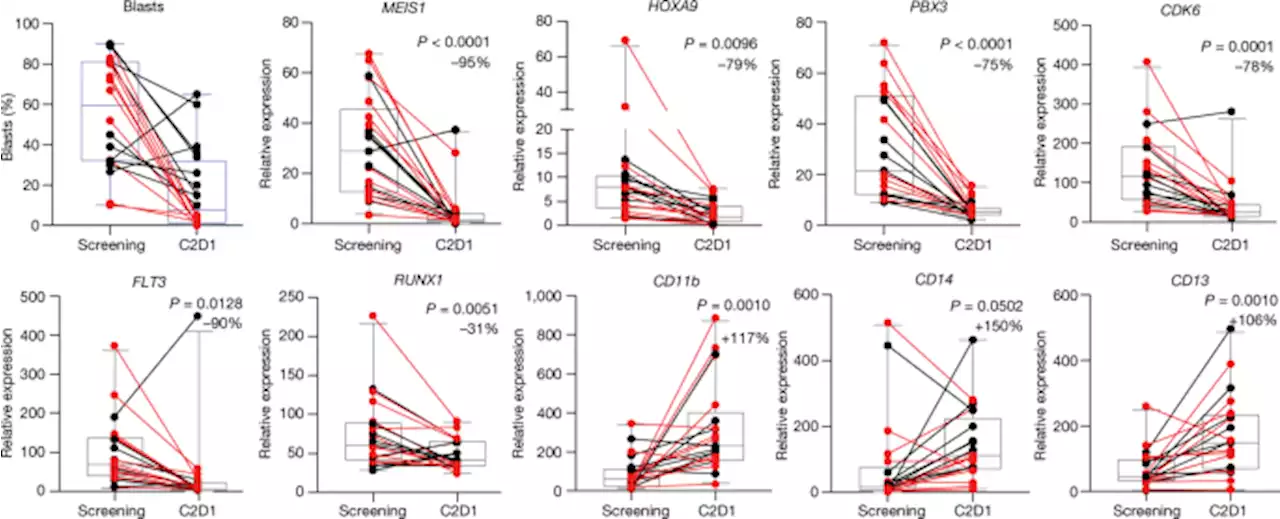 The menin inhibitor revumenib in KMT2A-rearranged or NPM1-mutant leukaemia - Nature