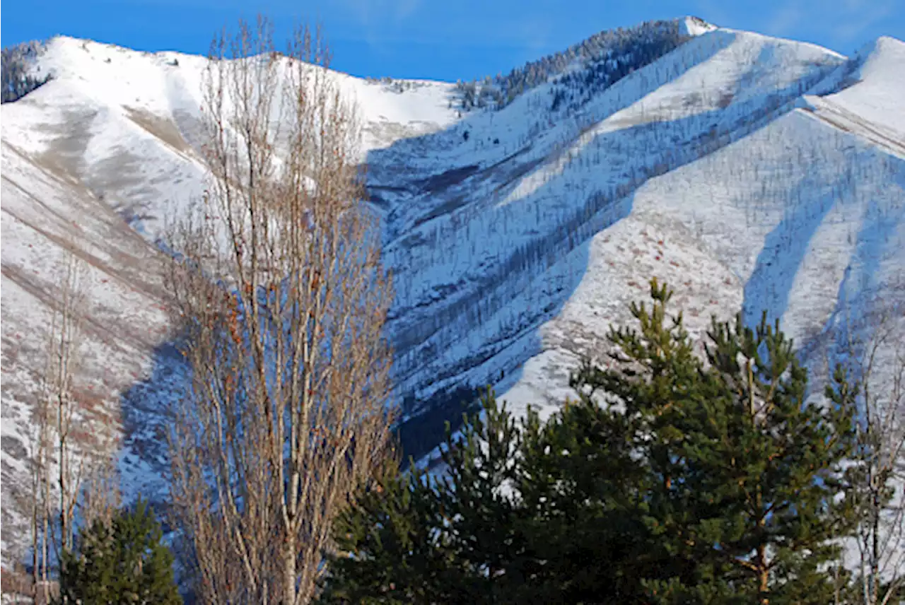 San Diego Father Dies in Utah Avalanche