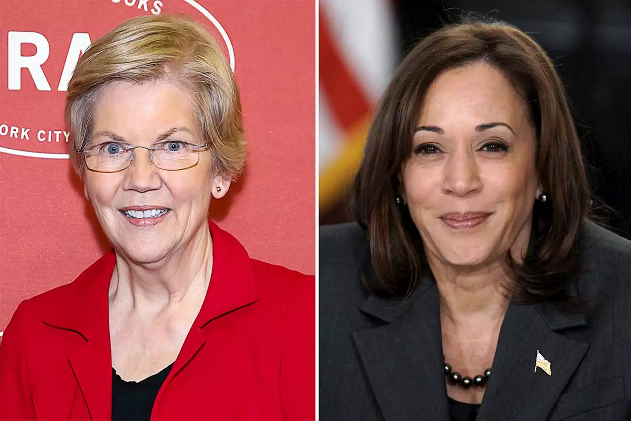 Kamala Harris hosts Elizabeth Warren for dinner after 2024 slight