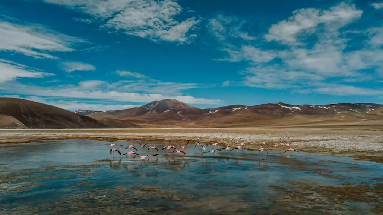 Harán un campamento en la ruta de los Seismiles | La Ruta Natural financiará un proyecto en Catamarca