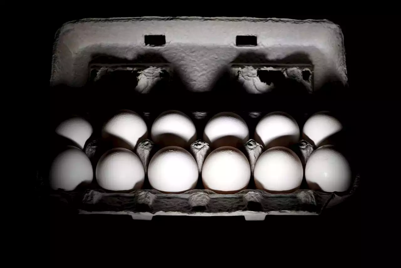 Dollar store to stop selling eggs because they’re too expensive