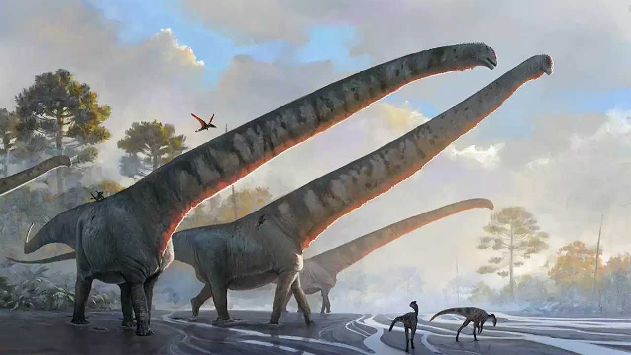 This dinosaur's record-breaking neck defies the laws of nature