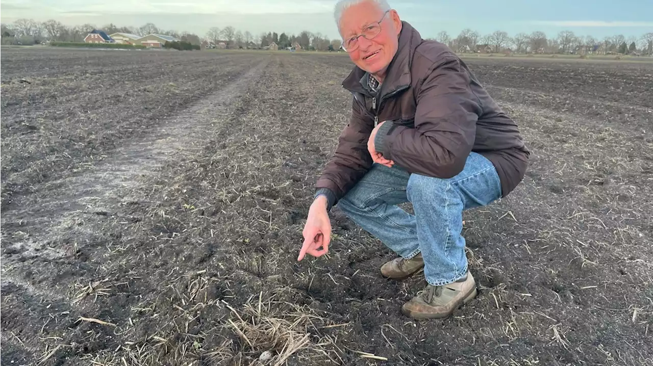 Eerste kievitsei in Drenthe gevonden in Oranjedorp: 'Ei zag er hartstikke mooi uit'