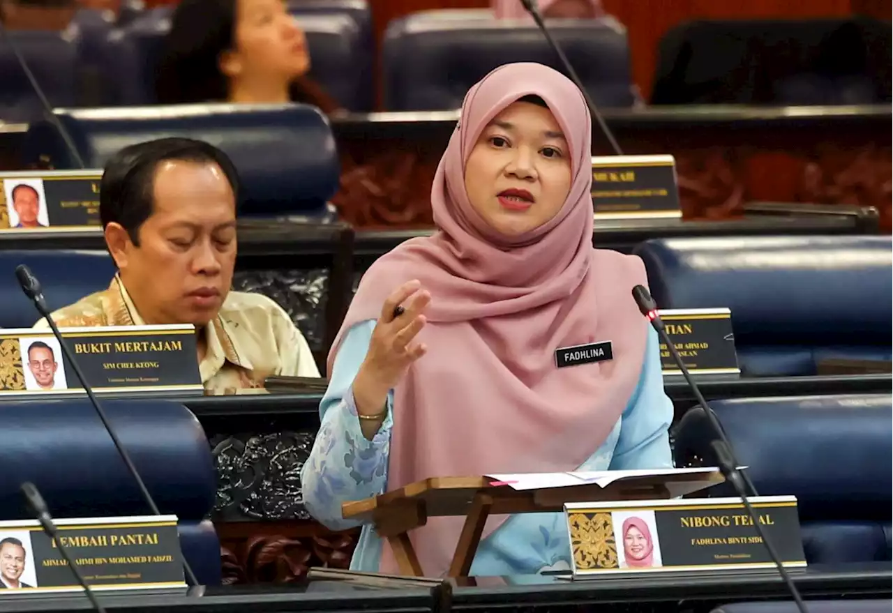 Technical audit to be done on idME, Fadhlina tells parliament