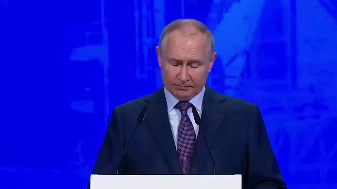 Путин заявил, что европейцам даже за репой придется ехать в Россию