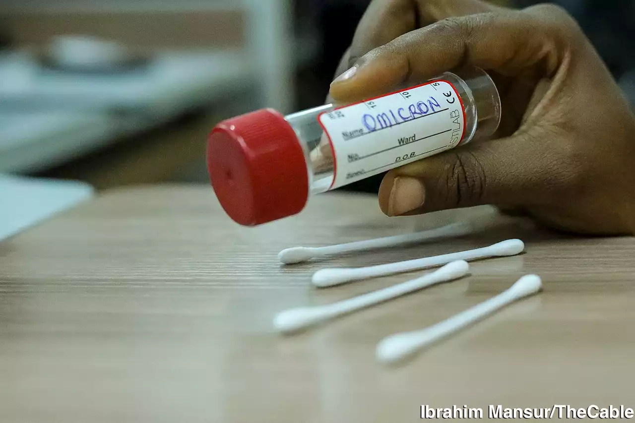 COVID: WHO to classify Omicron sub-variants separately due to dominance | TheCable
