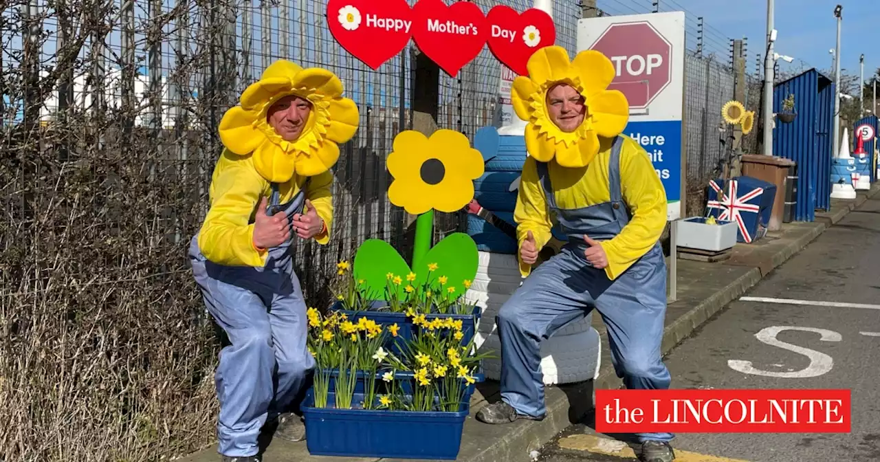 Grimsby tip's Mother's Day / Mariners daffodil giveaway