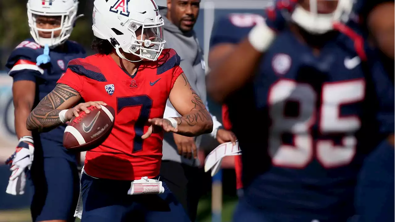 Arizona QB Jayden de Laura's football maturity 'on a different planet' this spring