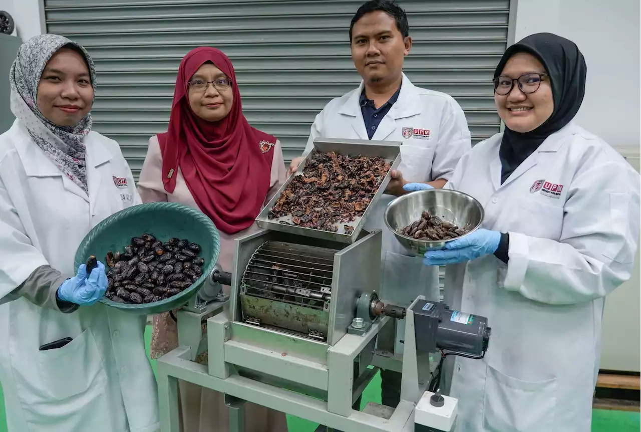 Mesin pengasing pulpa mudahkan pengendalian buah dabai