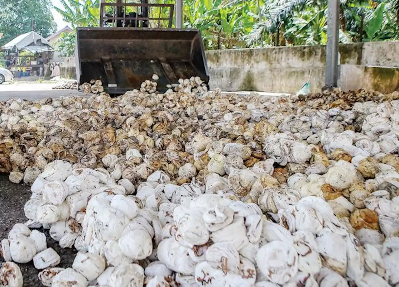 Teknologi CMB diguna turap jalan raya