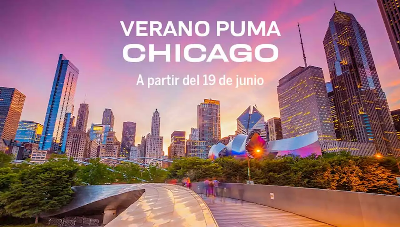 Verano Puma | Chicago unam mx