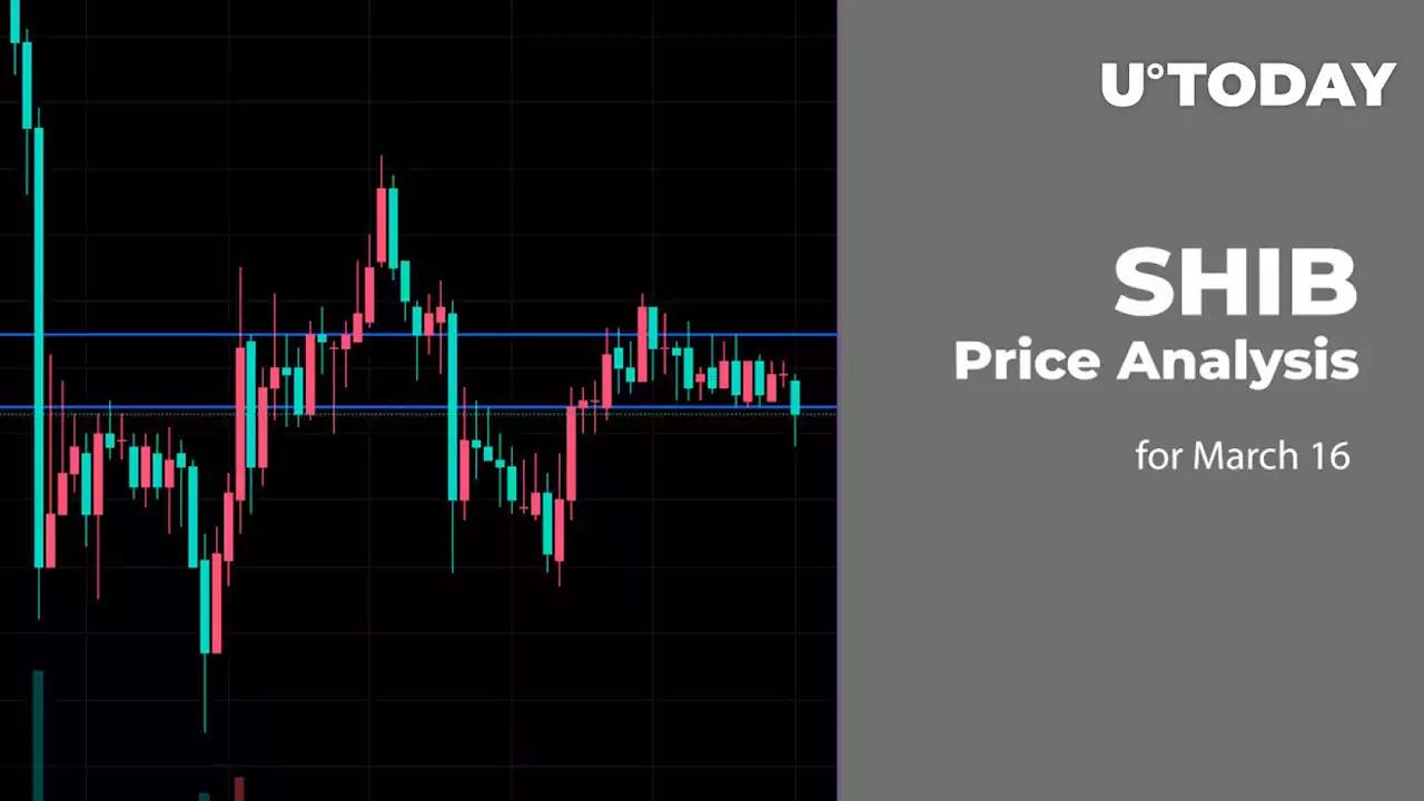 SHIB Price Analysis for March 16