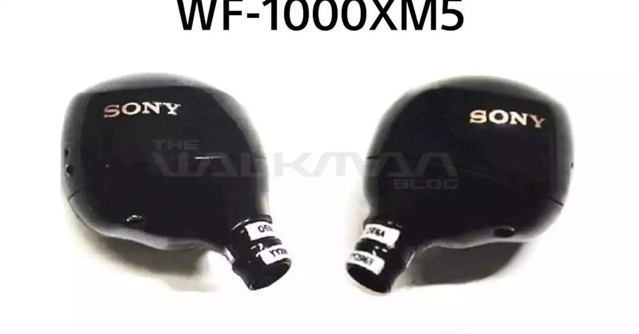 Leak shows unannounced Sony XM5 earbuds from the inside and out