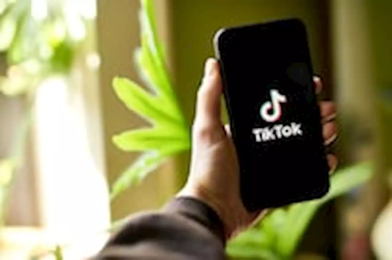 Biden administration wants TikTok’s Chinese owners to divest