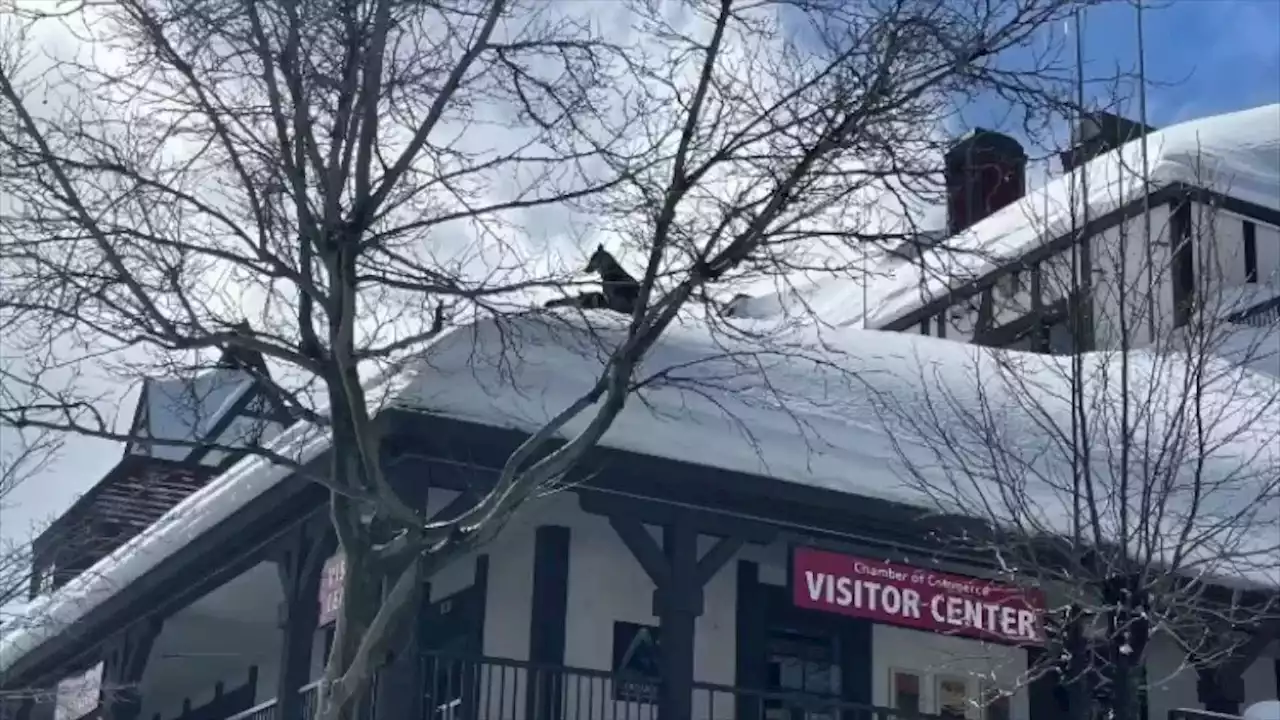 Dogs Rescued After Getting Stuck On Snowy Rooftop In California - Videos from The Weather Channel