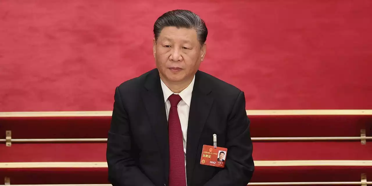 Essay | Why Has Xi Jinping Let His Hair Go Gray?