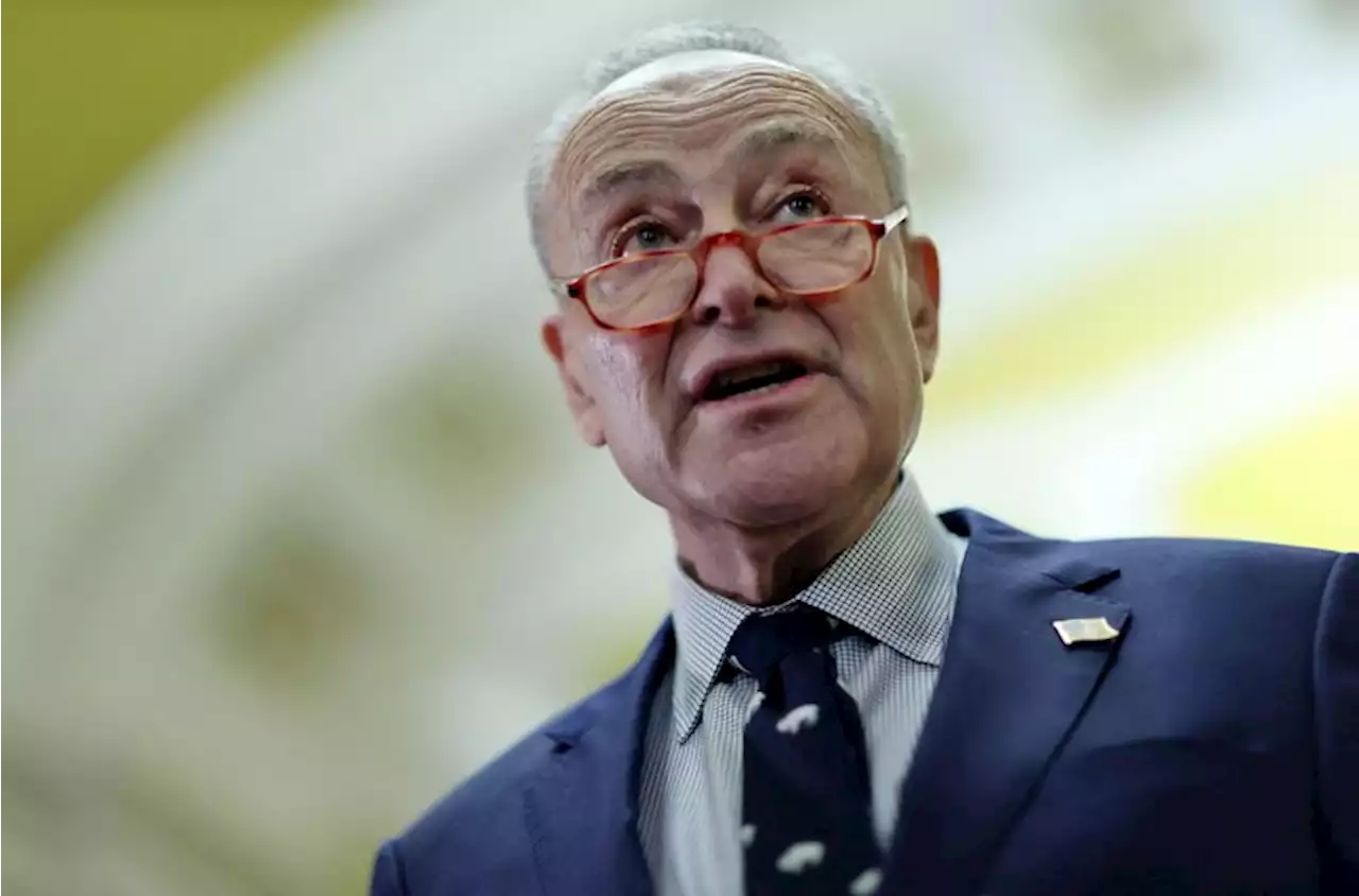 U.S. Senate leader Schumer urges federal safety probe into all major freight railroads