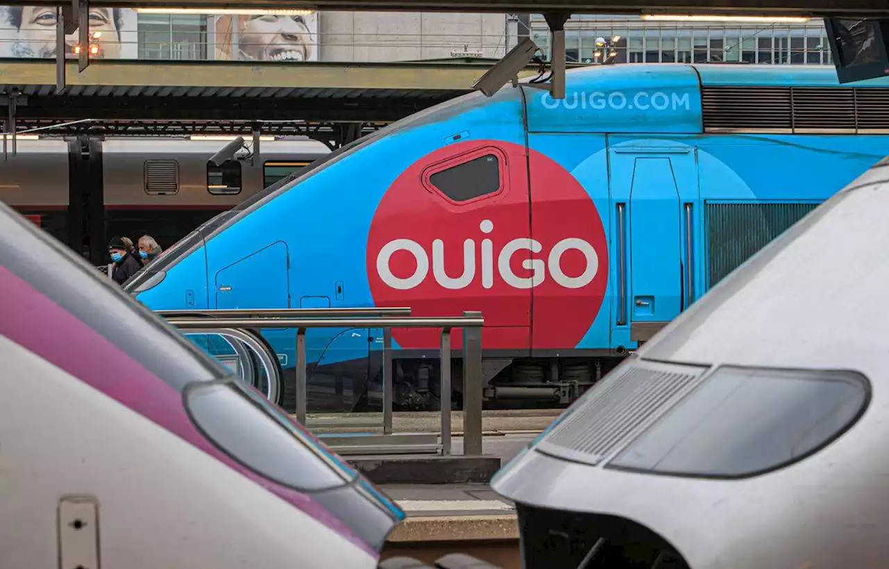 La SNCF voudrait lancer des trains Ouigo en Italie pour 2026