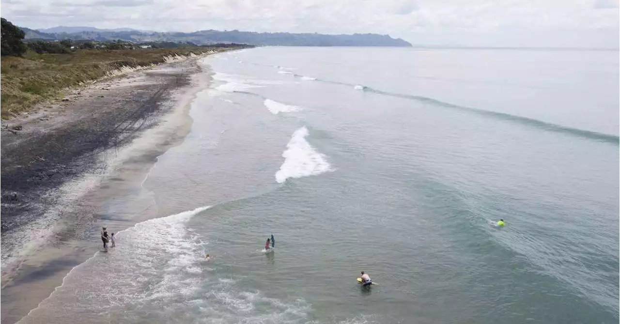 Shark chases New Zealand swimmers to steps of beach access