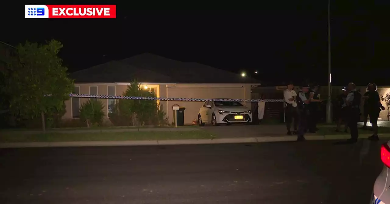 Armed man wearing clown mask allegedly breaks into Sydney family home