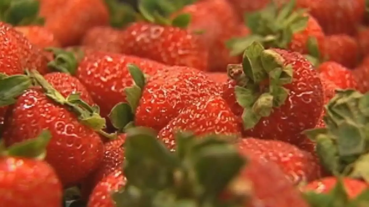 Meet the Dirty Dozen and Clean 15 foods: Which produce has the most pesticides?