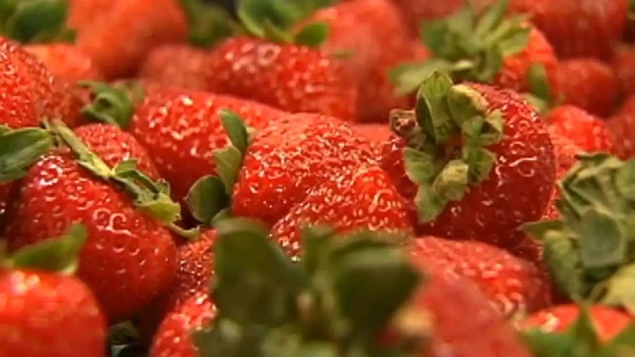 Meet the Dirty Dozen and Clean 15 foods: Which produce has the most pesticides?