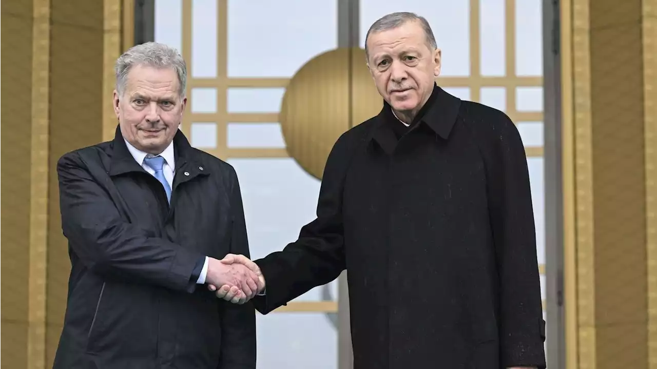 Turkey's Erdoğan backs Finland's bid to join NATO