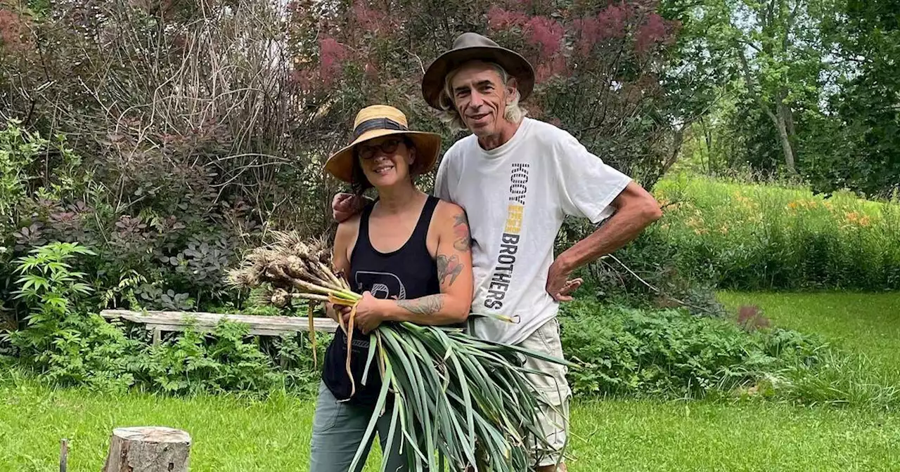 Woman whose pub was forced to close starts up farm just outside Toronto