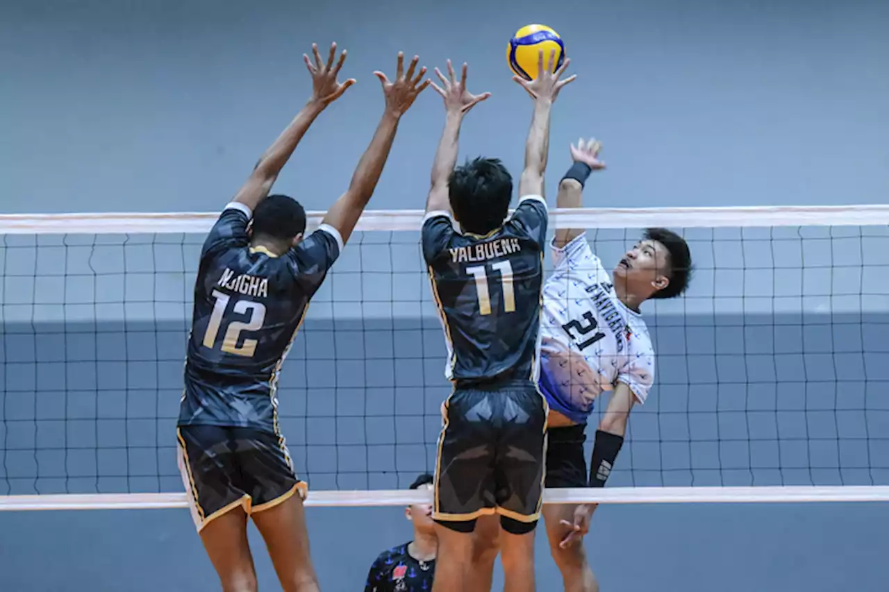 D'Navigators go for last semis seat vs Volley Hitters | BusinessMirror