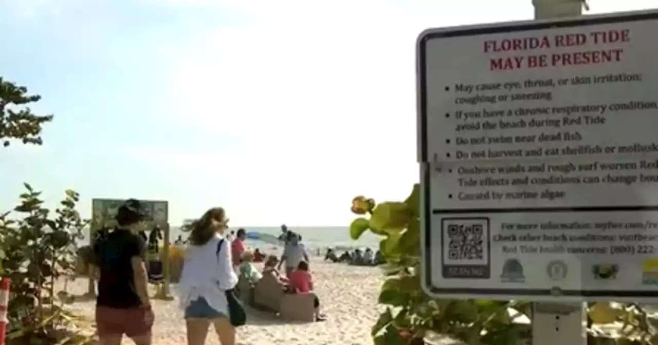 Florida beaches could be dealt a one-two punch of red tide and giant seaweed blob