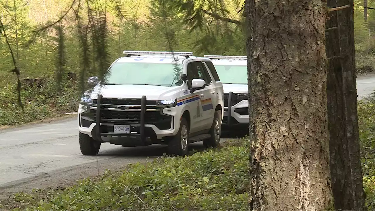 Security guard released from hospital after being stabbed in Ladysmith