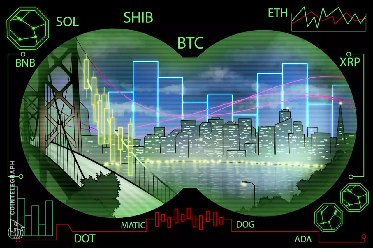 Price analysis 3/17: BTC, ETH, BNB, XRP, ADA, DOGE, MATIC, SOL, DOT, SHIB