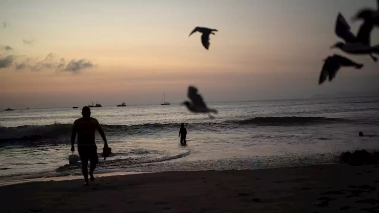 Marine heatwaves are sweeping the seafloor around North America