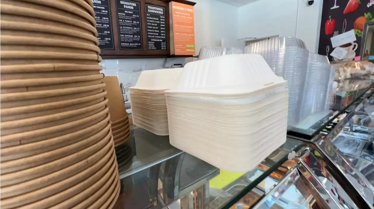 Victoria moving ahead with new single-use container bylaw