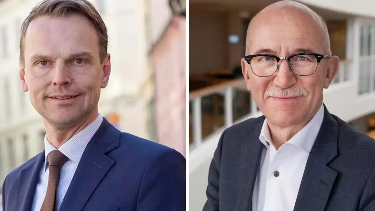 Här är politikerna som ska styra det nyvalda SKR