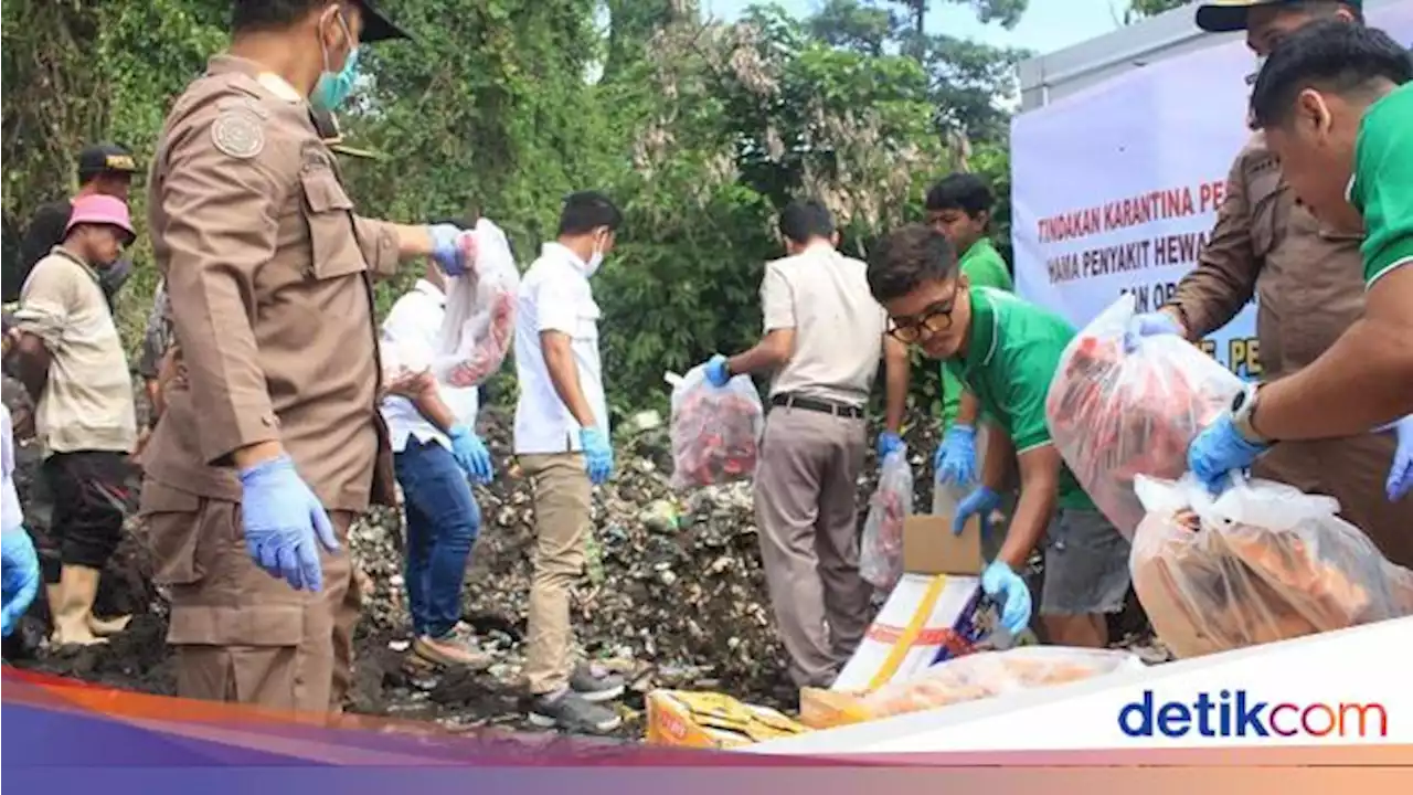 KKP Musnahkan 60 Kg Olahan Ikan Ilegal di Ternate