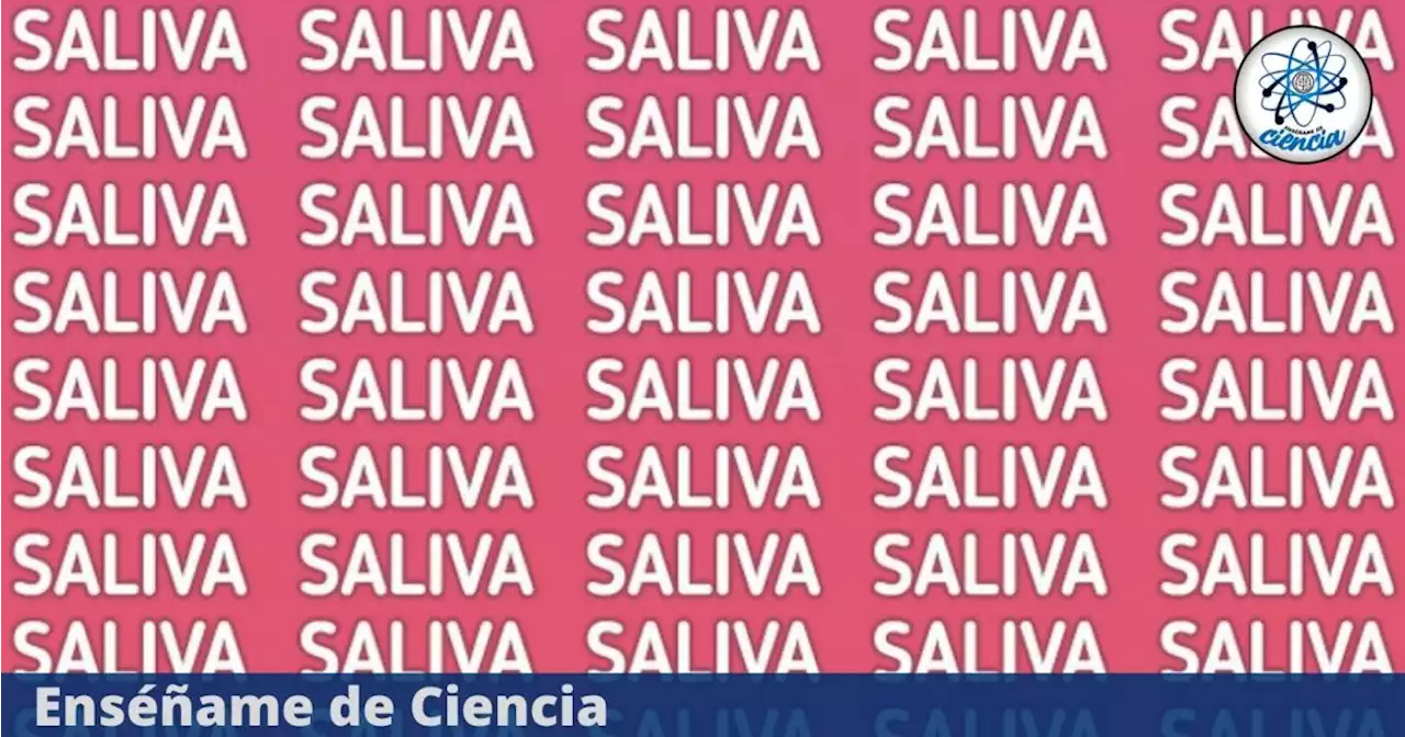 Tienes 4 segundos para encontrar la palabra DIFERENTE en el reto visual ¿podrás lograrlo?