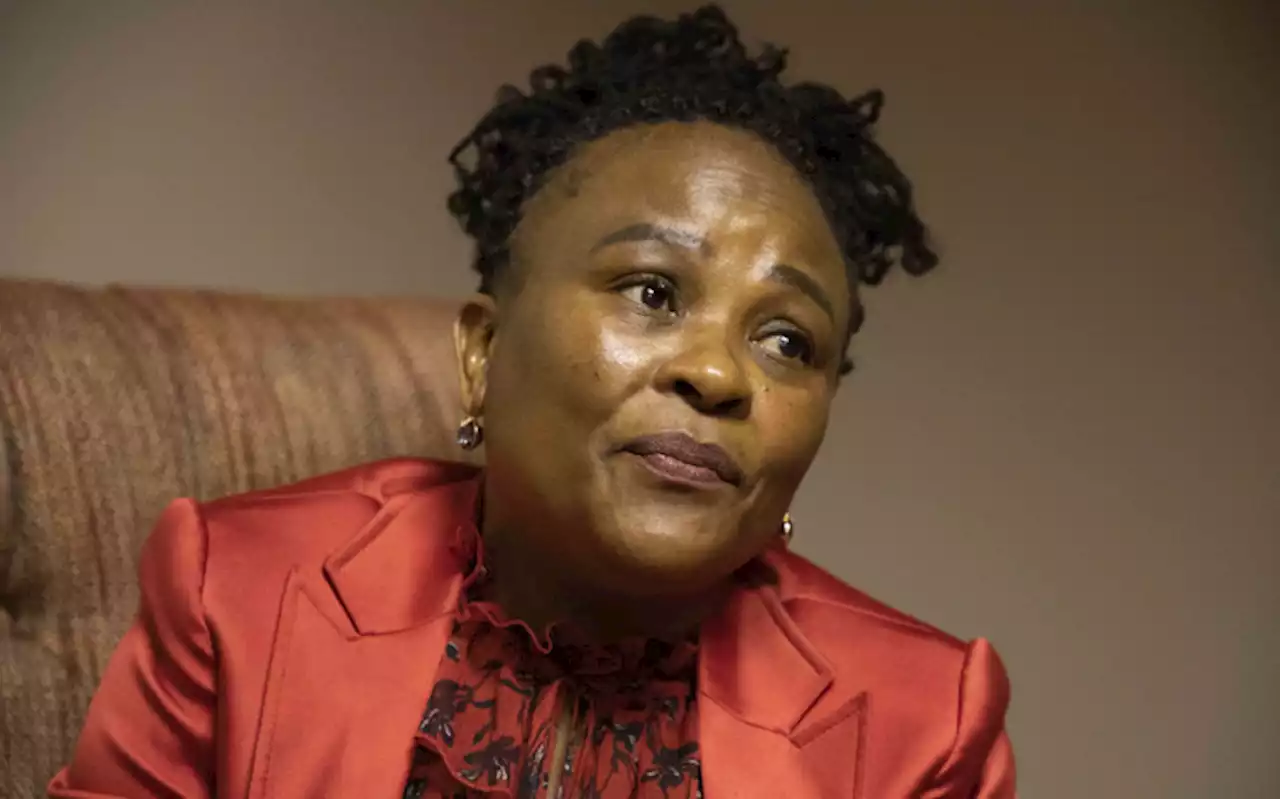 Mkhwebane: It's 'fashionable' for judges to slap me with personal cost orders