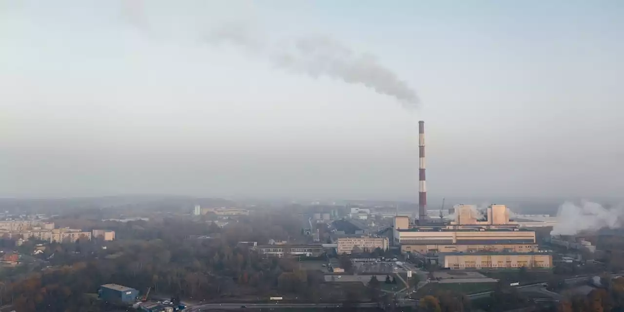 Wie wir garantiert unsere Klimaziele erreichen - kostengünstig und sozial