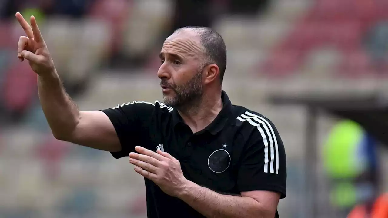 Algérie : la liste de Djamel Belmadi avec plusieurs nouveaux